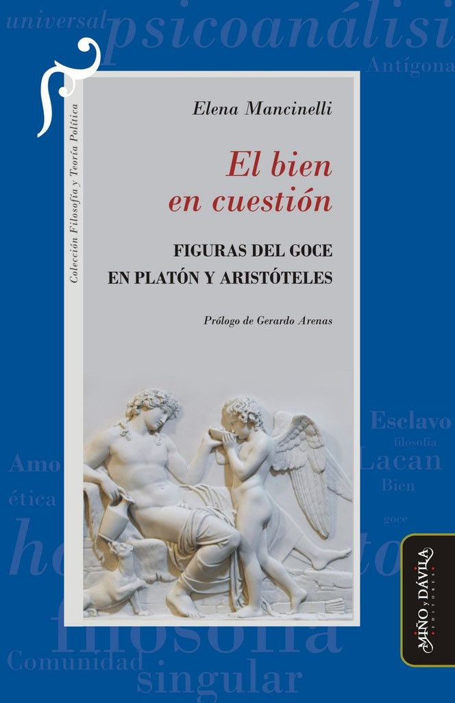 El bien en cuestión | Mancinelli, Arenas