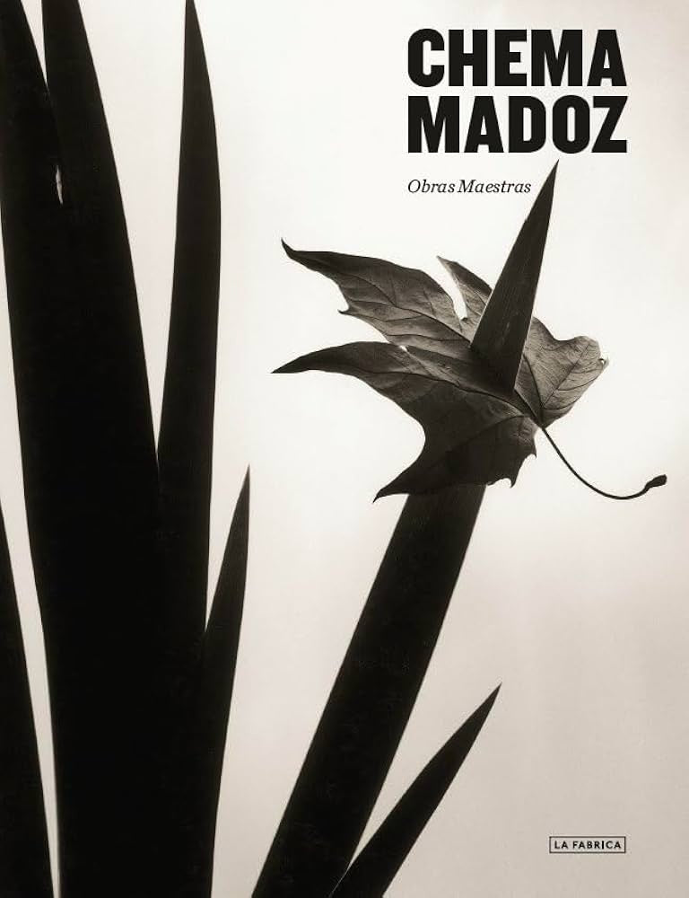 CHEMA MADOZ: OBRAS MAESTRAS (CON DETALLES).. | Chema  Madoz