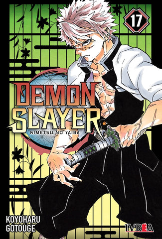 DEMON SLAYER 17 .. | KOYOHARU GOTOUGE