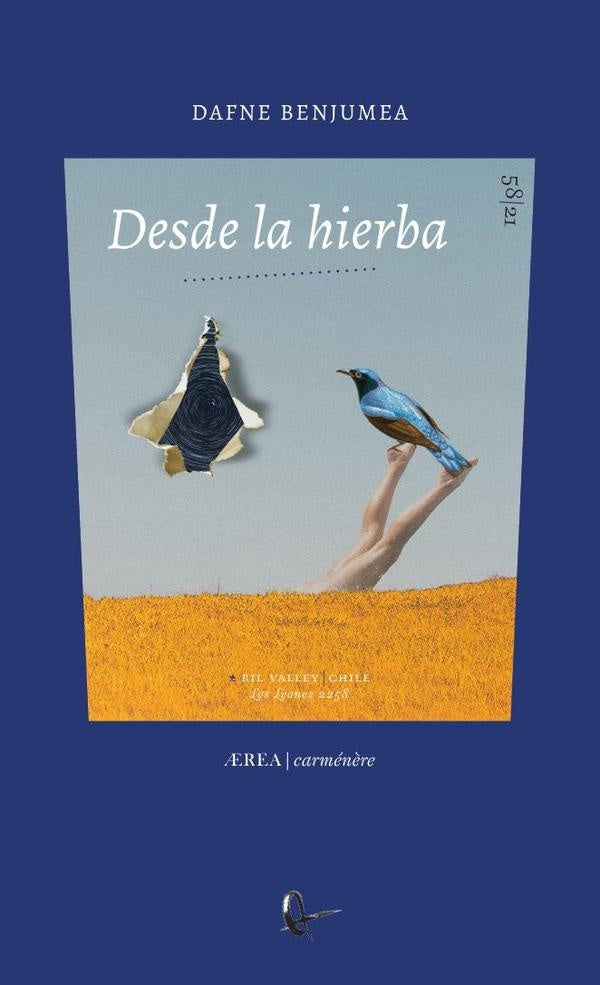 Desde la hierba | Dafne Benjumea