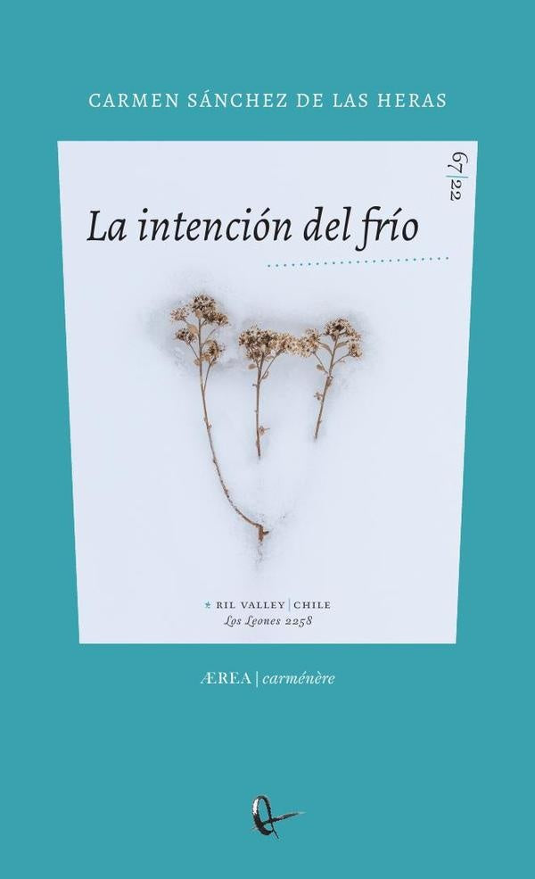 La intención del frío | Carmen Sánchez de las Heras