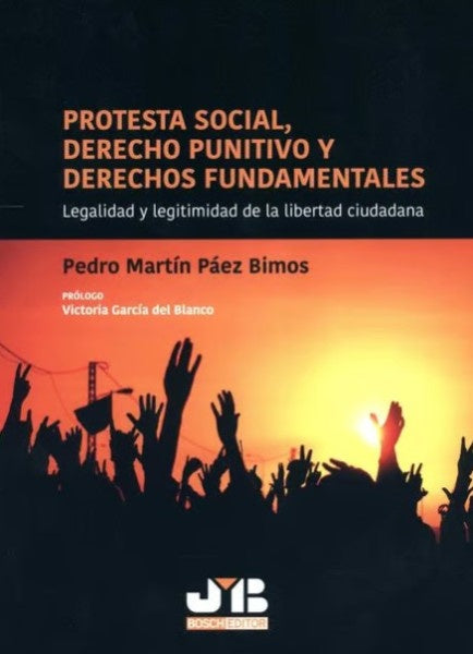 Protesta social, Derecho punitivo y derechos fundamentales | Pedro Martín Páez Bimos