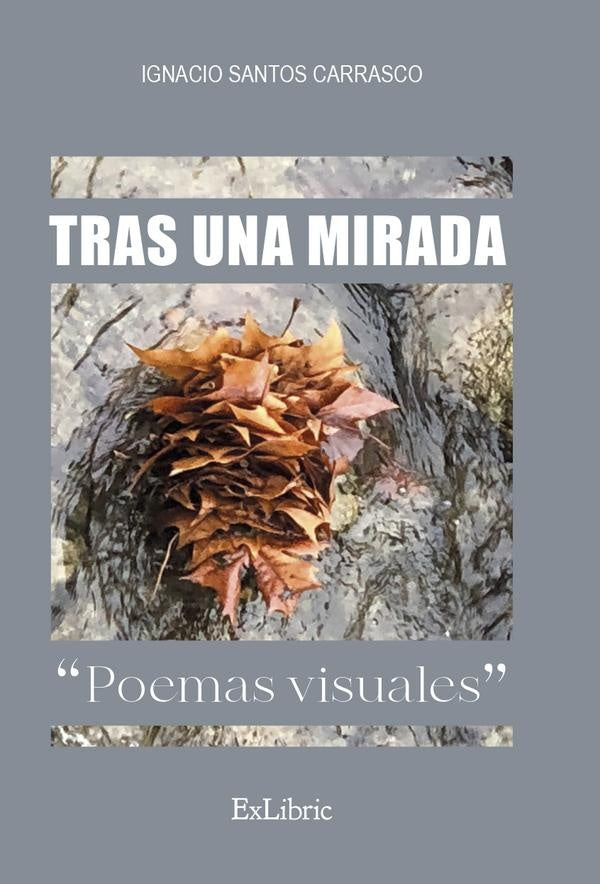 Tras una mirada. Poemas visuales | Ignacio Santos Carrasco