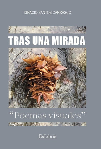 Tras una mirada. Poemas visuales | Ignacio Santos Carrasco