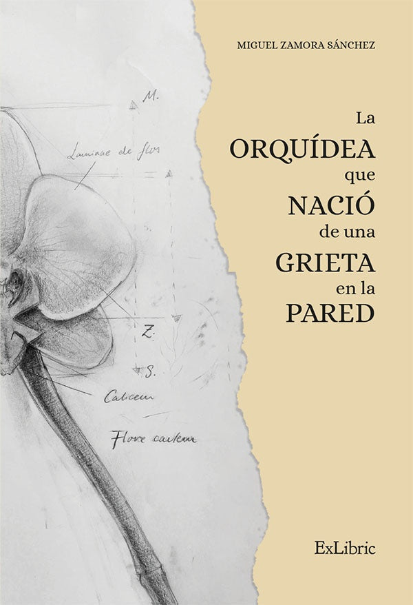La orquídea que nació de una grieta en la pared | Miguel Zamora Sánchez