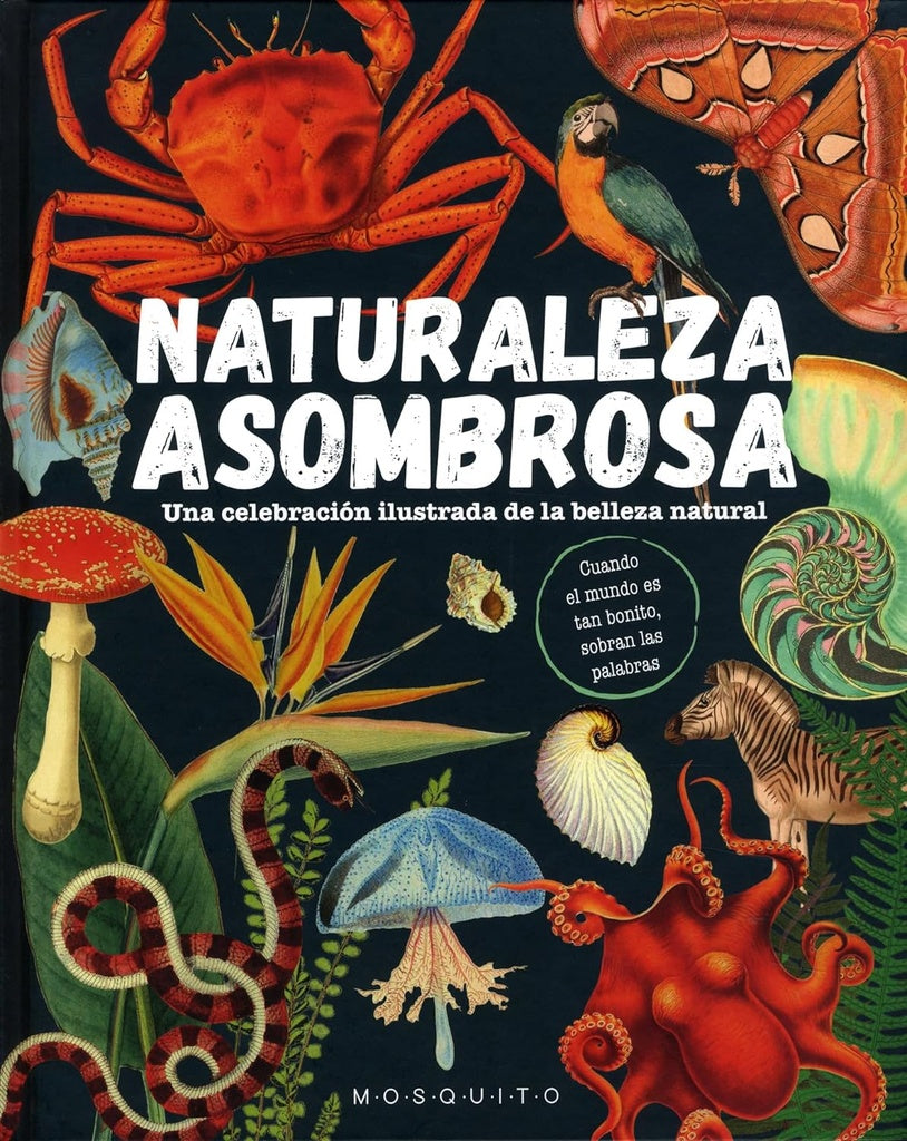 NATURALEZA ASOMBROSA (CON DETALLES)..