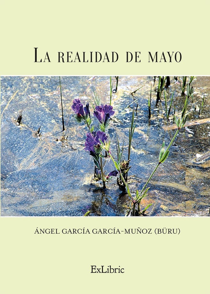 La realidad de mayo | Angel García García-Muñoz (BÜRU)