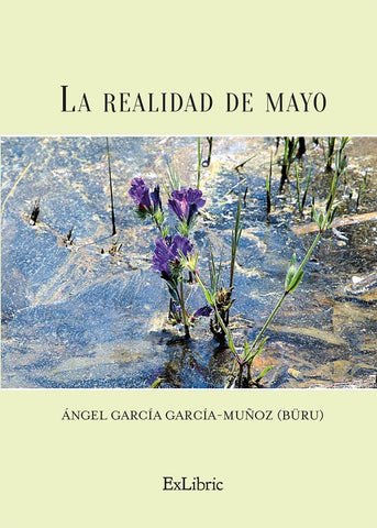 La realidad de mayo | Angel García García-Muñoz (BÜRU)