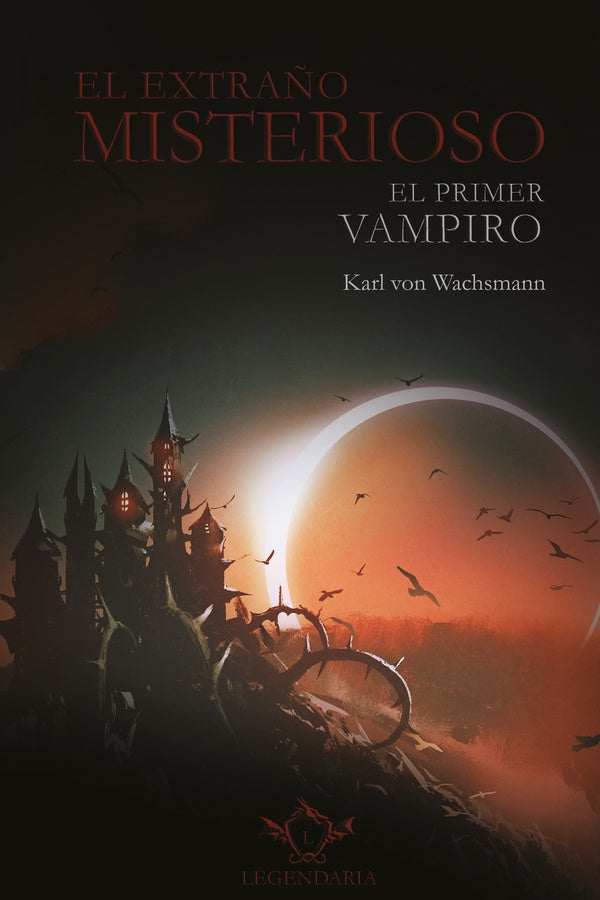 El extraño misterioso | Karl  von Wachsmann