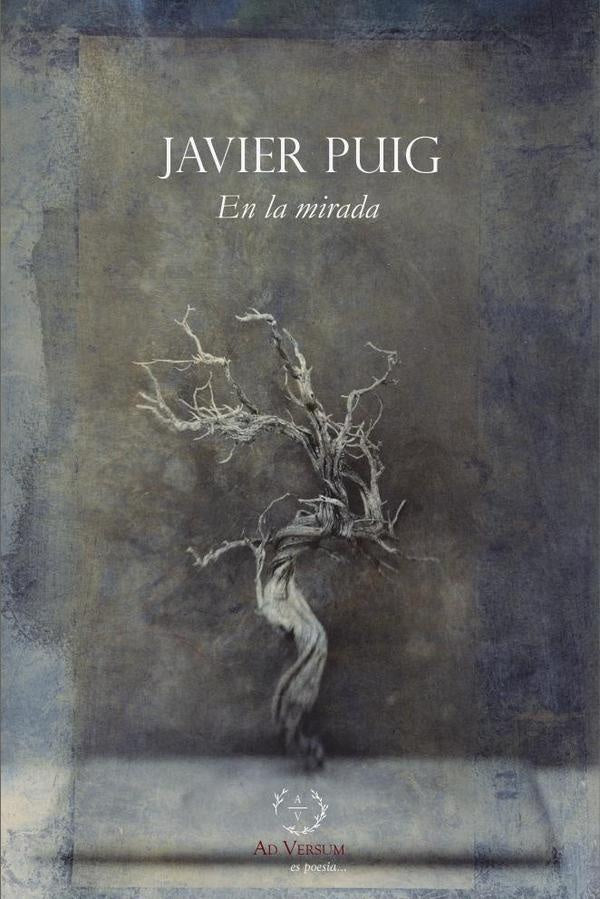 En la mirada | Javier Puig