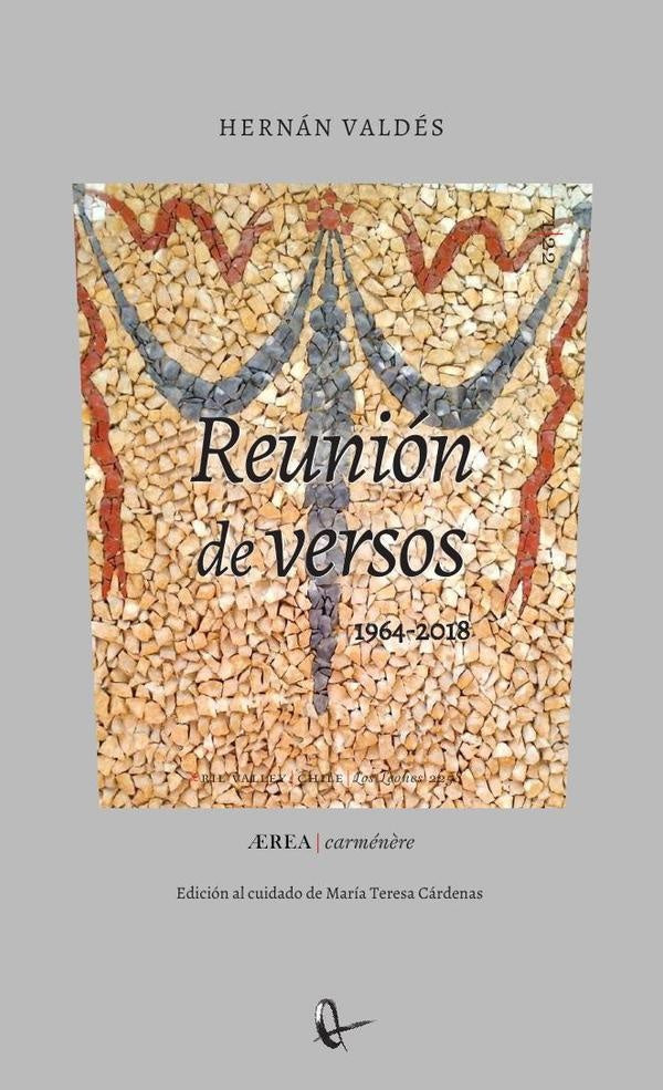 Reunión de versos (escritos entre 1964 y 2018). Reunidos para perplejidad de los ausentes | Hernán Valdés