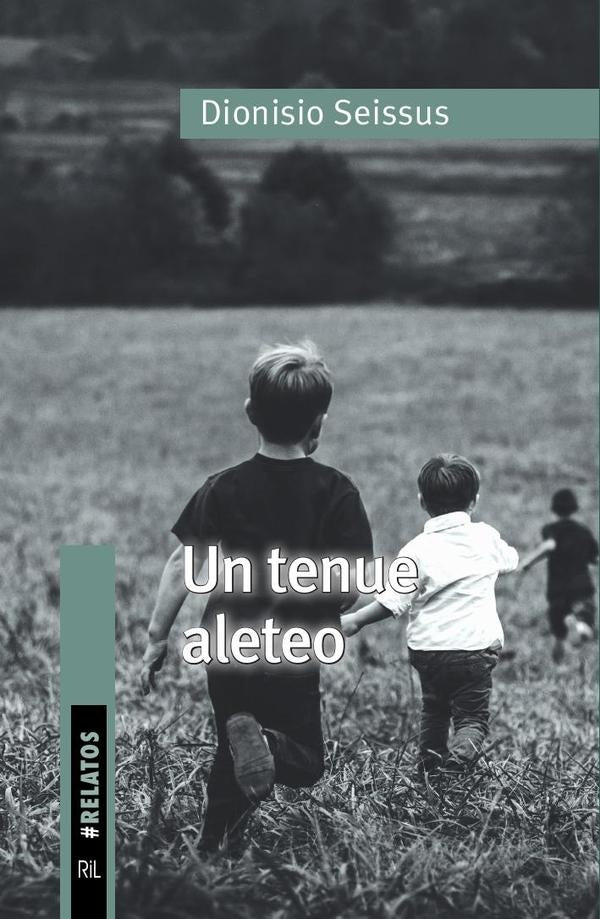 Un tenue aleteo | Dionisio Seissus