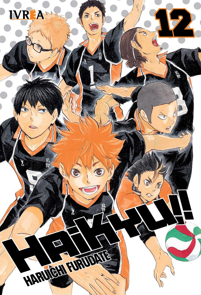 HAIKYU 12