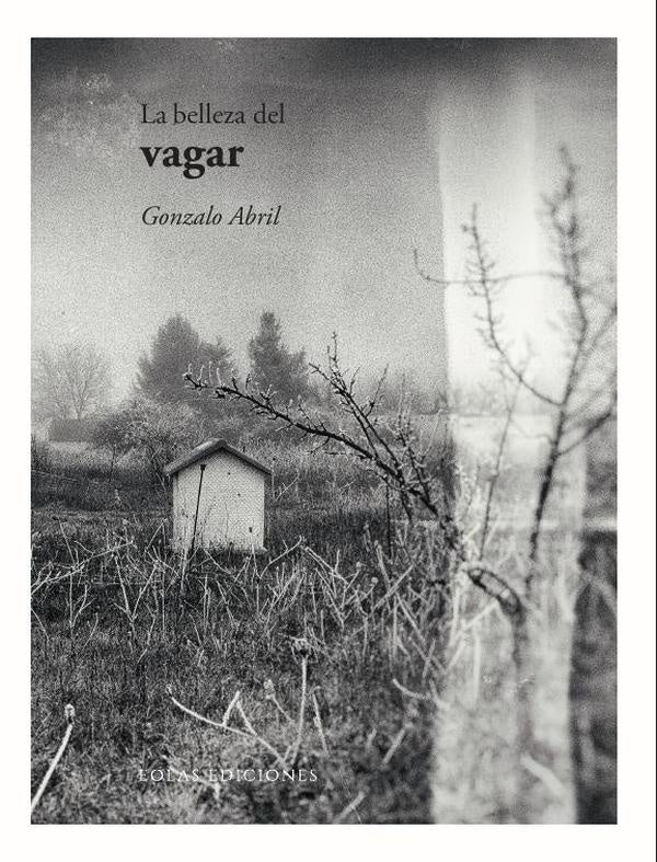 La belleza del vagar | Gonzalo Abril