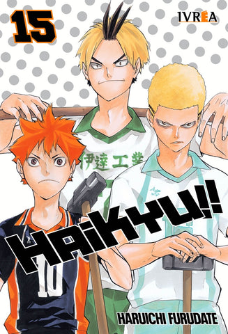 HAIKYU 15 | Haruichi furudate