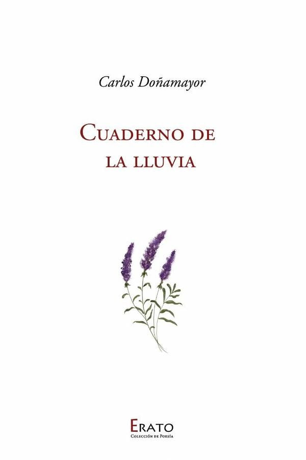 Cuaderno de la Lluvia | Carlos Doñamayor
