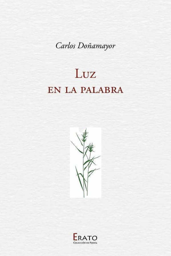 Luz en la palabra | Carlos Doñamayor