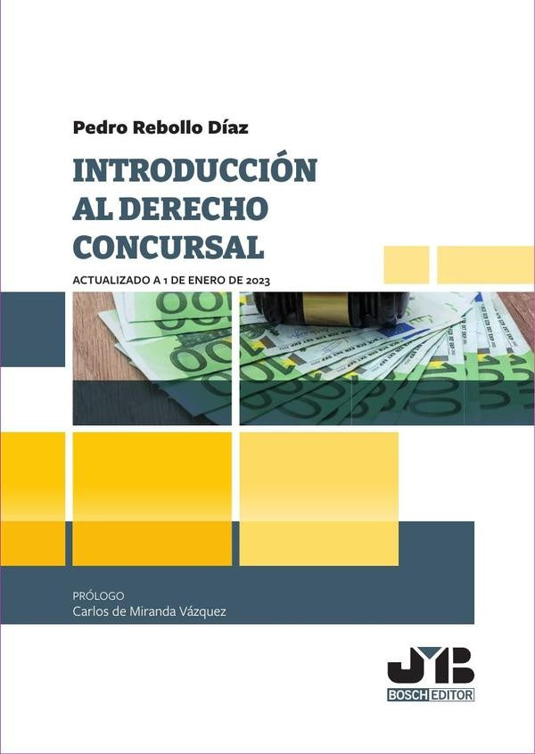 Introducción al Derecho Concursal | Pedro Rebollo Díaz