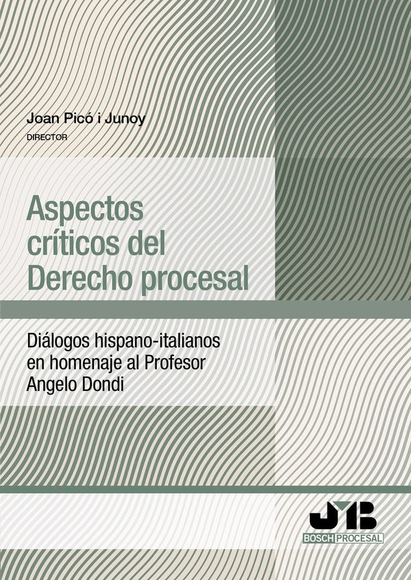 Aspectos críticos del Derecho procesal | JOAN PICÓ I JUNOY (Director)