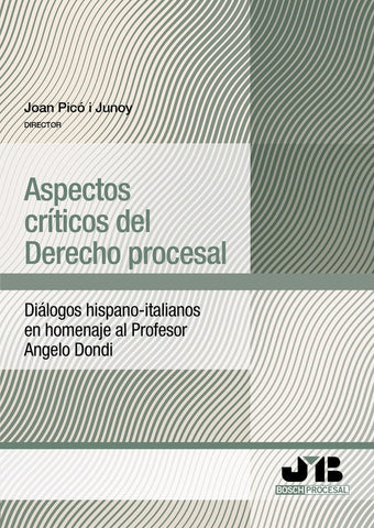 Aspectos críticos del Derecho procesal | JOAN PICÓ I JUNOY (Director)