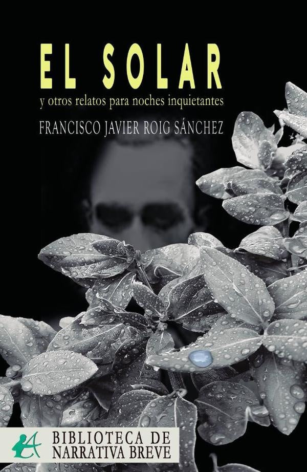 El solar y otros relatos para noches inquietantes | Francisco Javier Roig Sánchez