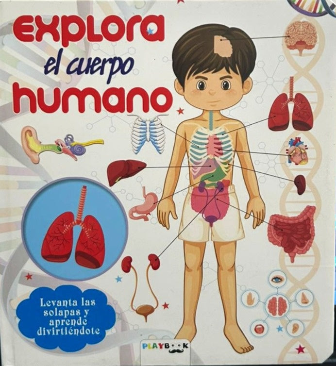 EXPLORA EL CUERPO HUMANO..