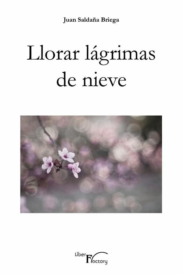 Llorar lágrimas de nieve | Juan Saldaña Briega