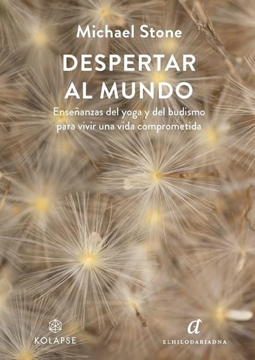 DESPERTAR AL MUNDO | MICHAEL STONE