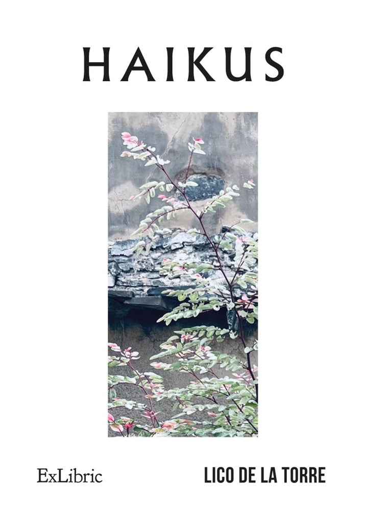 Haikus | Lico de la Torre