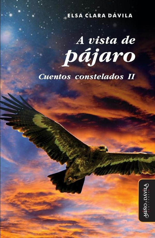 A vista de pájaro | Elsa Clara Dávila