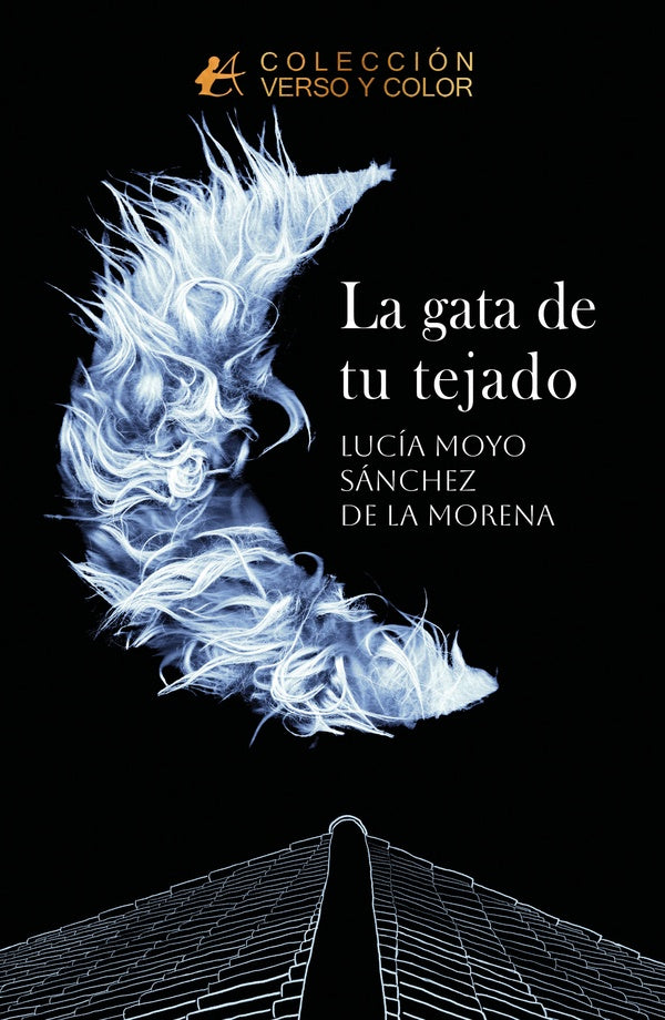 La gata de tu tejado | Lucía Moyo Sánchez de la Morena