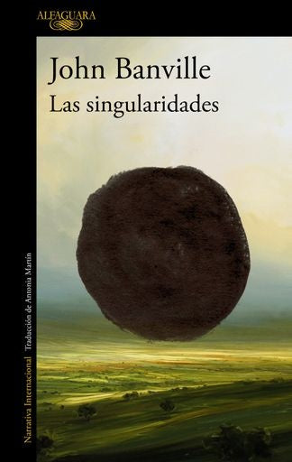 LAS SINGULARIDADES..* | John Banville