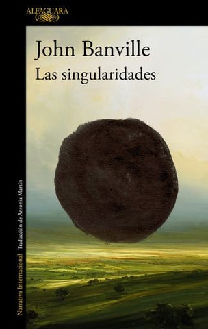 LAS SINGULARIDADES..* | John Banville