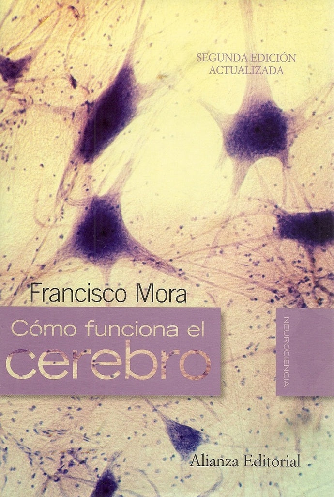 Cómo funciona el cerebro | Mora