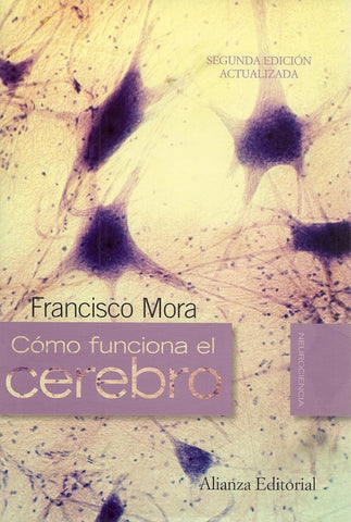 Cómo funciona el cerebro | Mora