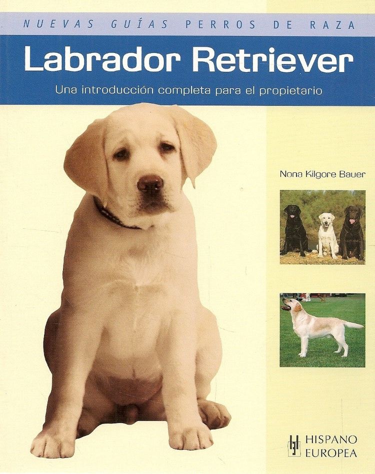 Labrador Retriever - Guías perros de raza