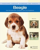 Beagle - Guías perros de raza