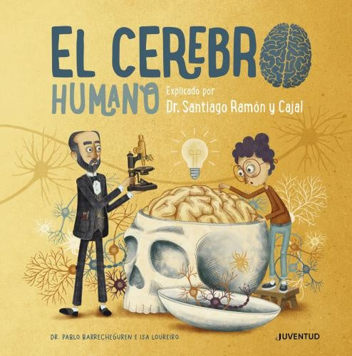 El cerebro humano explicado | Pablo Barrecheguren