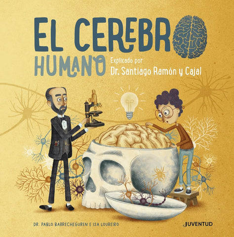 El cerebro humano explicado | Pablo Barrecheguren