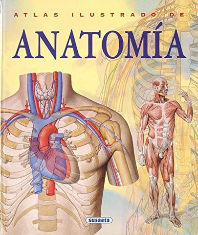Atlas ilustrado de anatomia | VACIO