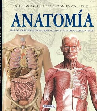 Atlas ilustrado de anatomia | VACIO