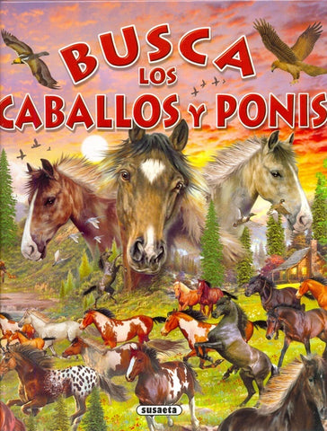 Busca los caballos y ponis