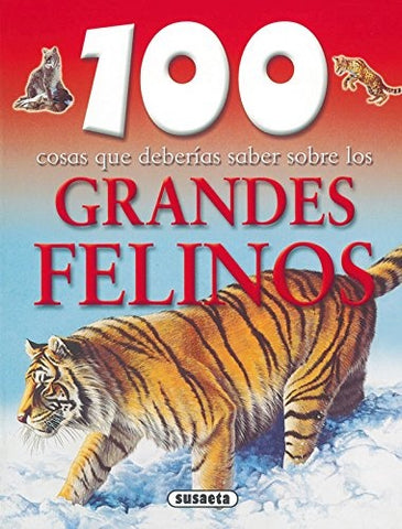 GRANDES FELINOS | VACIO