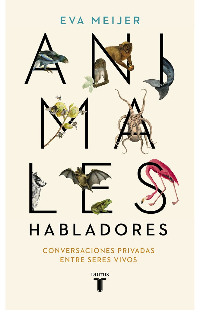 ANIMALES HABLADORES | EVA  MEIJER