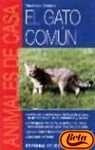 EL GATO COMUN.. | Mabel Rita