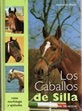LOS CABALLOS DE SILLA | DOMENICO MARIO