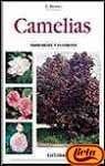 CAMELIAS.. | D. Beretta
