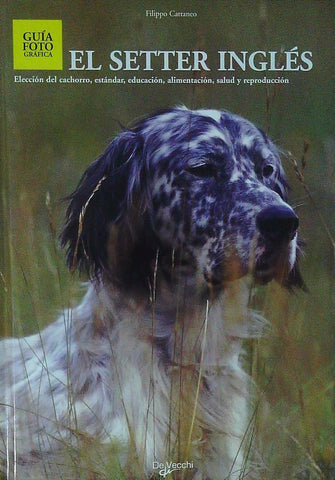 EL SETTER INGLES.. | Filippo Cattaneo