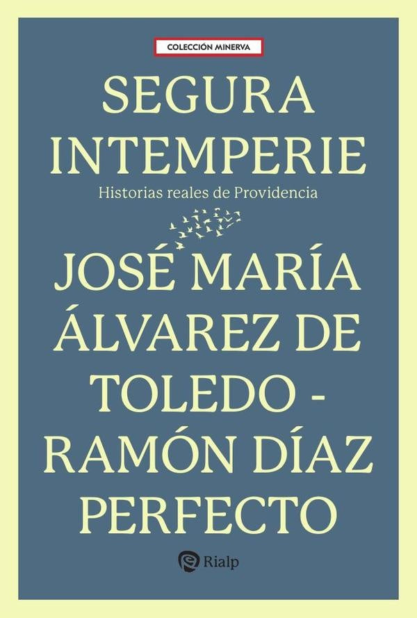 Segura intemperie | DÍAZ PERFECTO, Álvarez de Toledo
