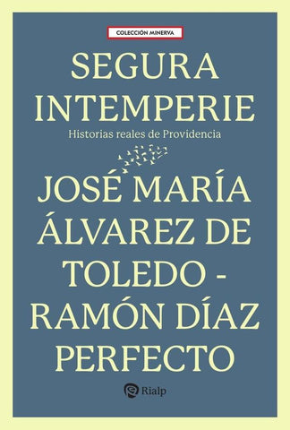 Segura intemperie | Álvarez de Toledo, DÍAZ PERFECTO